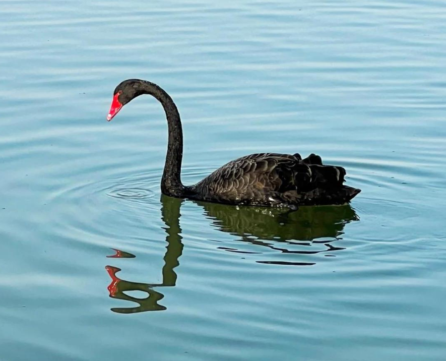 1764137350807438.png 微信图片_20251126140839_22_25.png